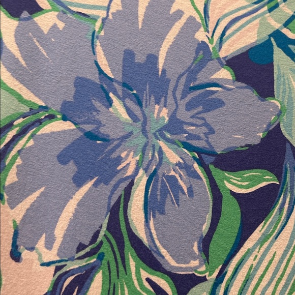 Lilly Pulitzer Pastel Blue & Green gorgeous Floral dress. L. - Picture 6 of 9